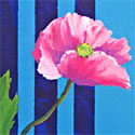 Poppy in Vase