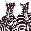 Zebras